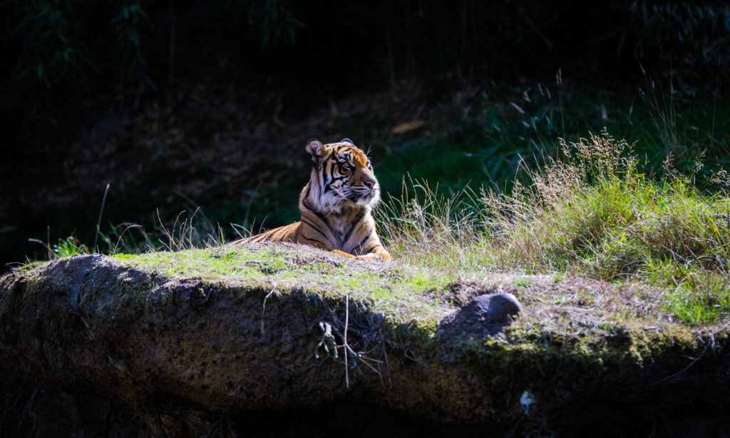 Point Defiance Zoo & Aquarium